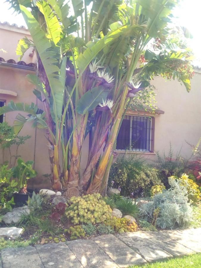 Arthouse Campos Mit Haus Galeria 110Qm Und Appartementhaus Mit Patio 30Qm Exterior photo