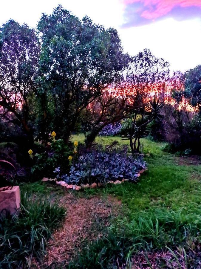 Arthouse Campos Mit Haus Galeria 110Qm Und Appartementhaus Mit Patio 30Qm Exterior photo