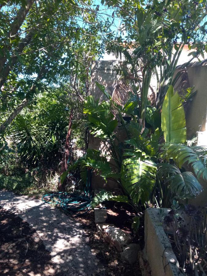 Arthouse Campos Mit Haus Galeria 110Qm Und Appartementhaus Mit Patio 30Qm Exterior photo